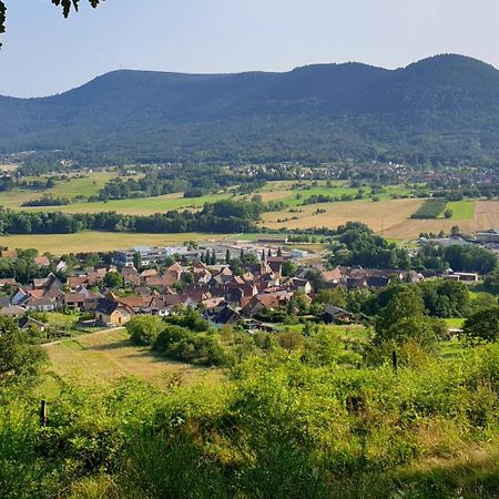 Reverie Du Val Triembach-au-Val Extérieur photo
