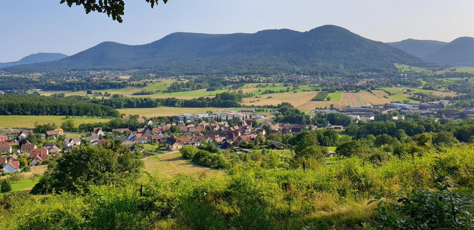 Reverie Du Val Triembach-au-Val Extérieur photo